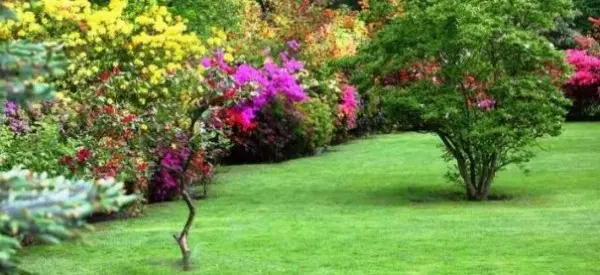 Jardineros profesionales